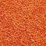 RED LENTIL WHOLE