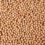 CHICK PEAS KABULI